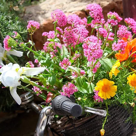 Dimora Li Santi E Casina Matilde * Nardò