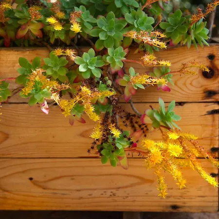 Dimora Li Santi E Casina Matilde Nyaraló *