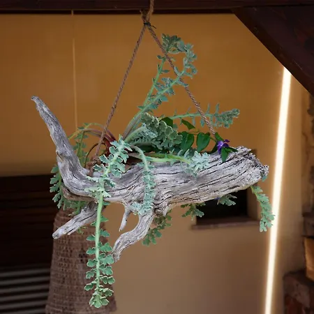 Dimora Li Santi E Casina Matilde 度假居